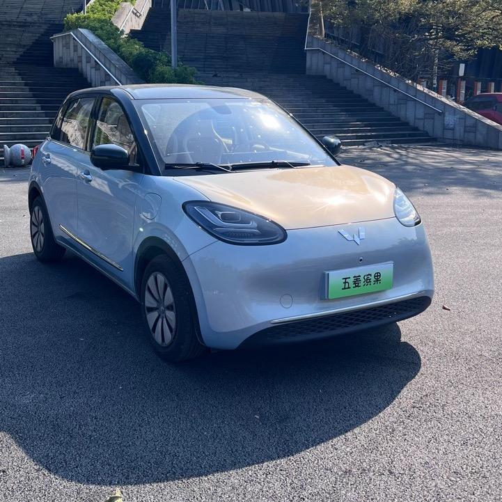 五菱工厂清库丹丹