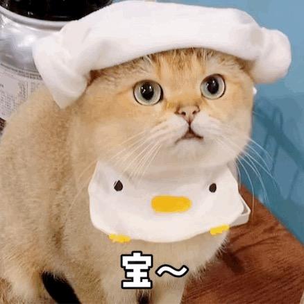 大大泡泡糖