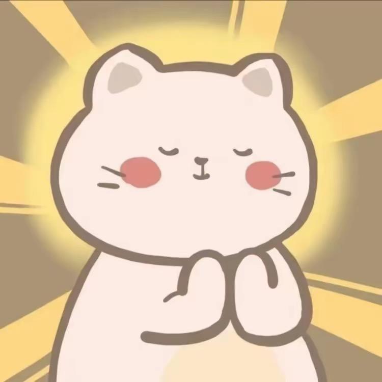 张张来了
