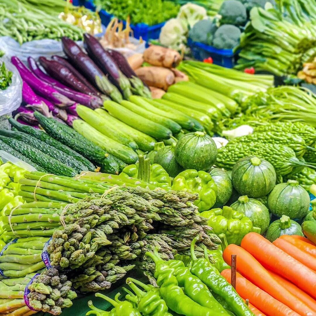 生态蔬菜产业基地