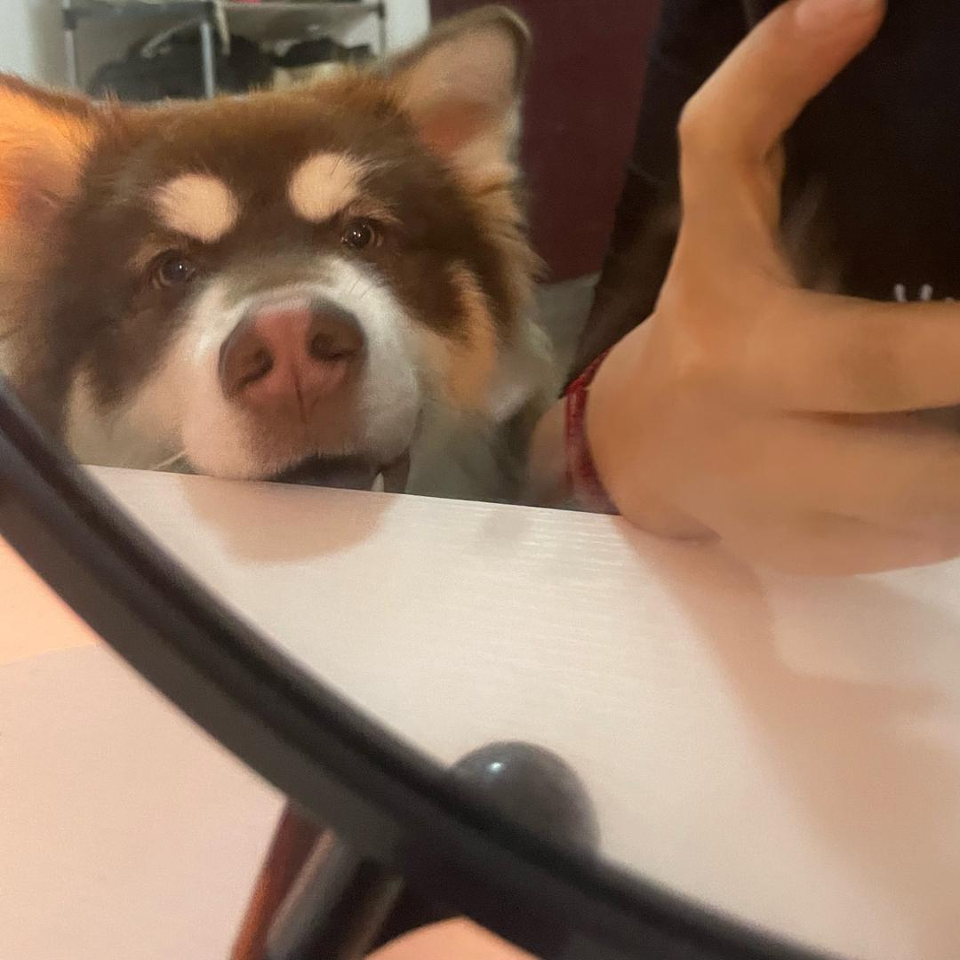 L~～