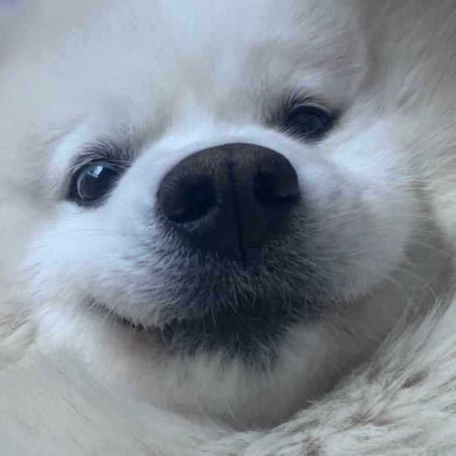 宫某人NnG ᵀᴵᴹᴵᴺᴳ