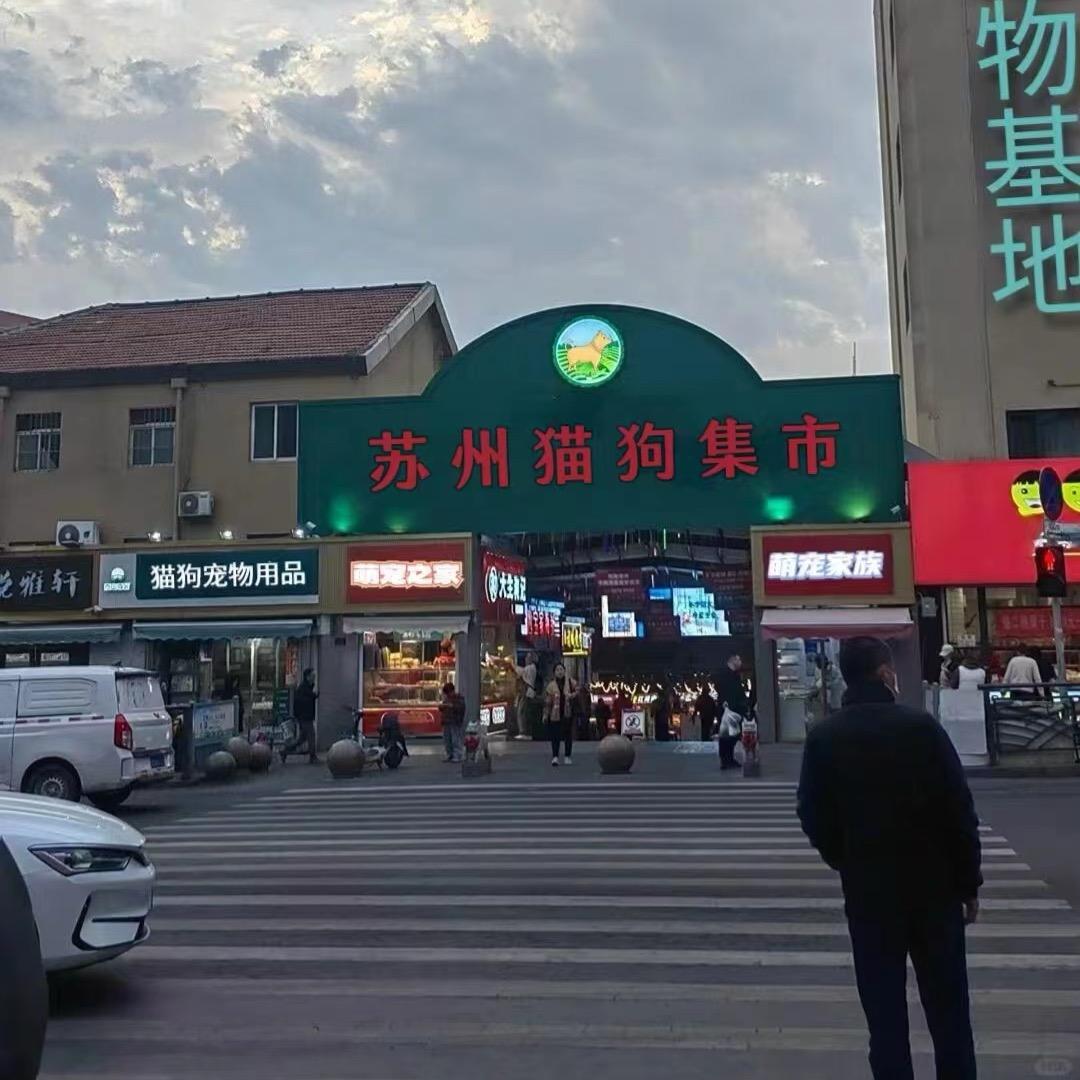 苏州看猫看狗⬆️打主页电话