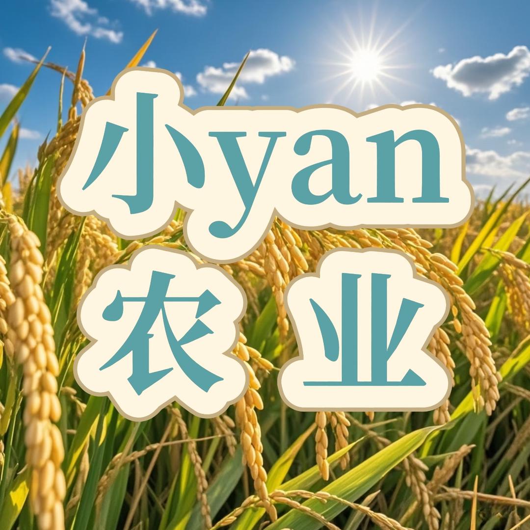小yan农业