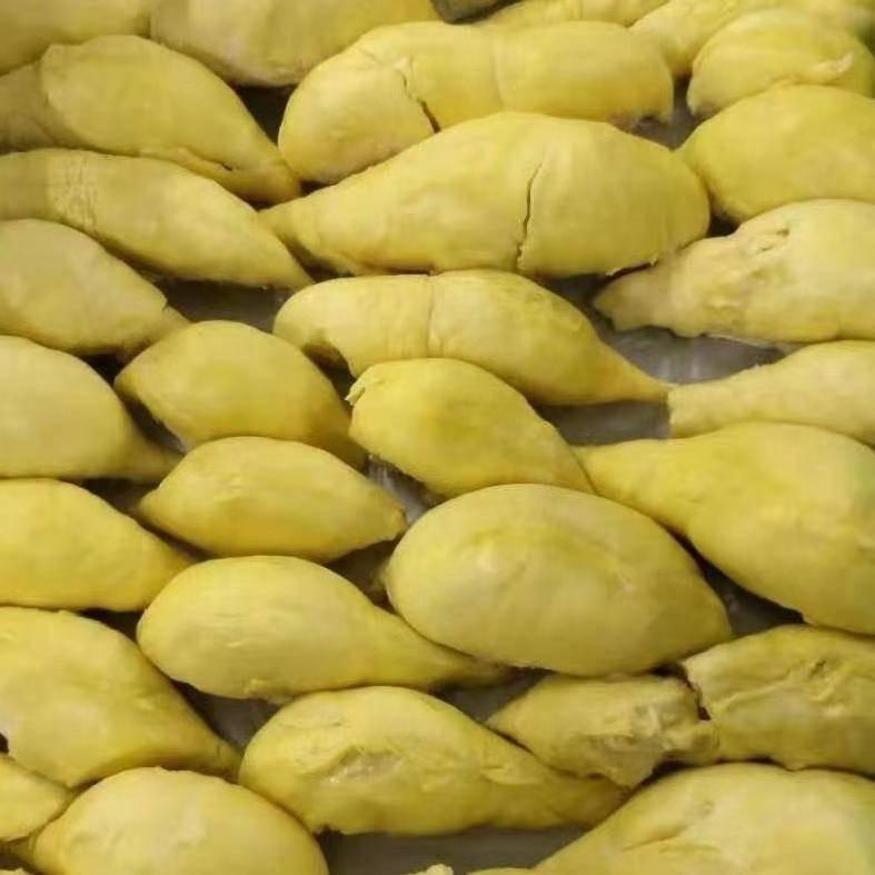 冷冻榴莲肉源头供应