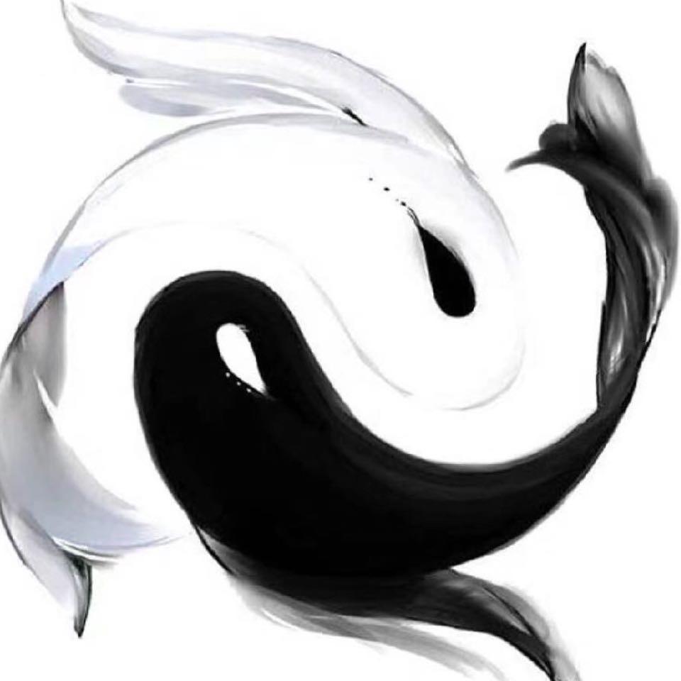 宋先生（风生水起）