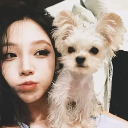 天塌下来我当被子盖