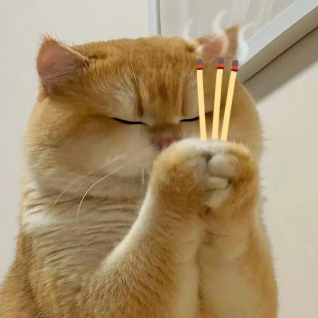 难办就boo要办辣!