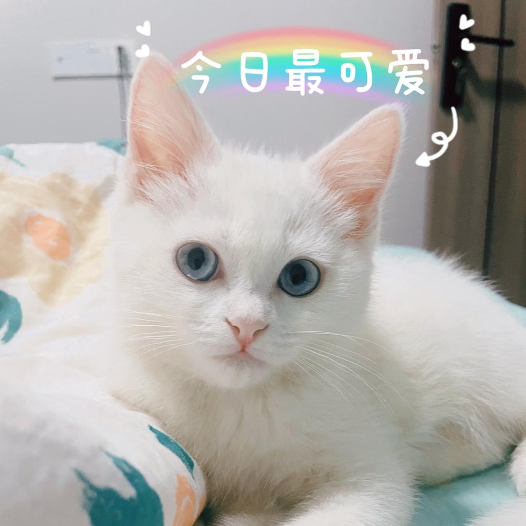 陈雨。