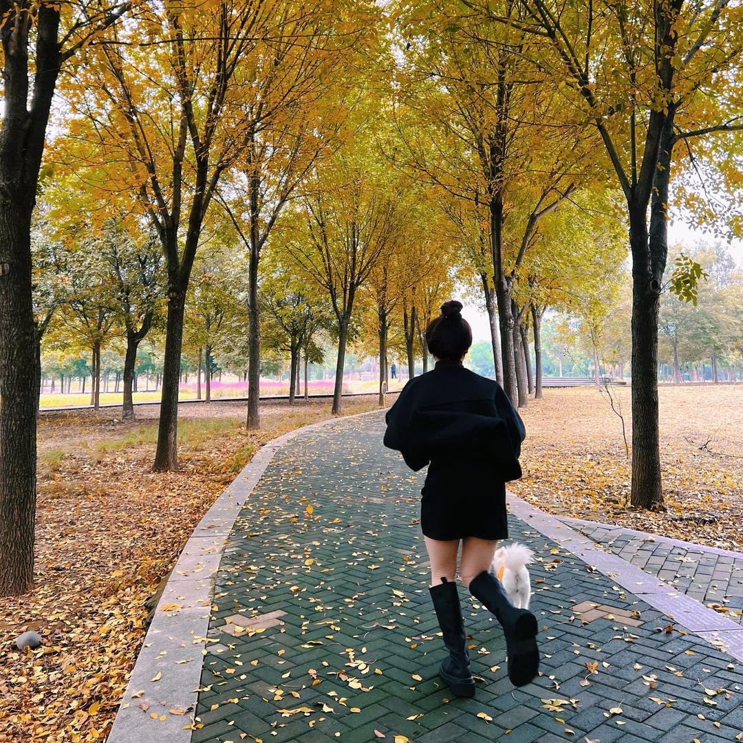 诺诺🇨🇳（随缘）