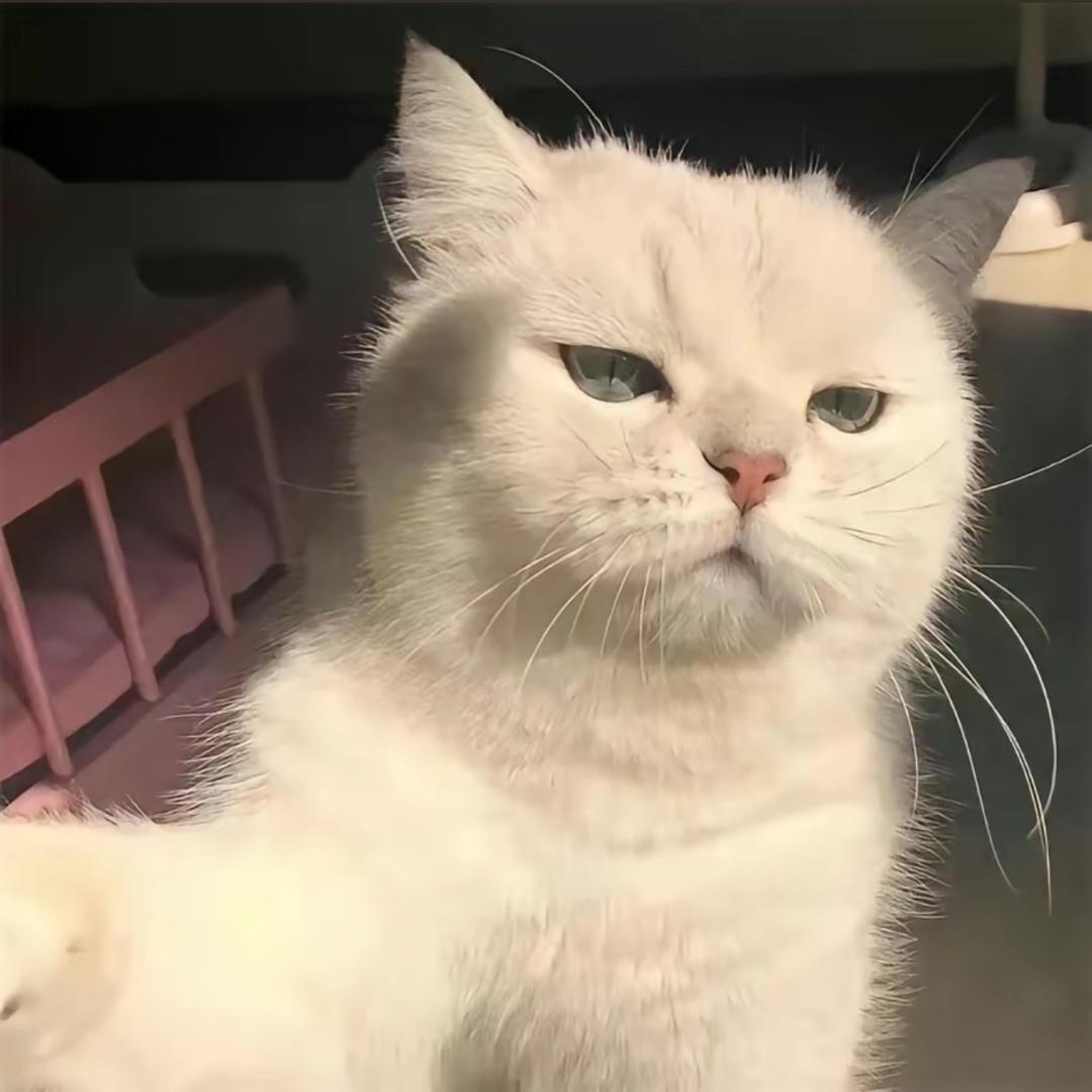 储物架