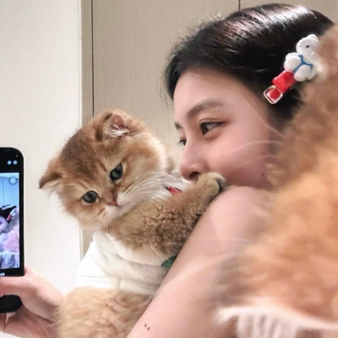 ¹顿吃¹⁰个蛋挞