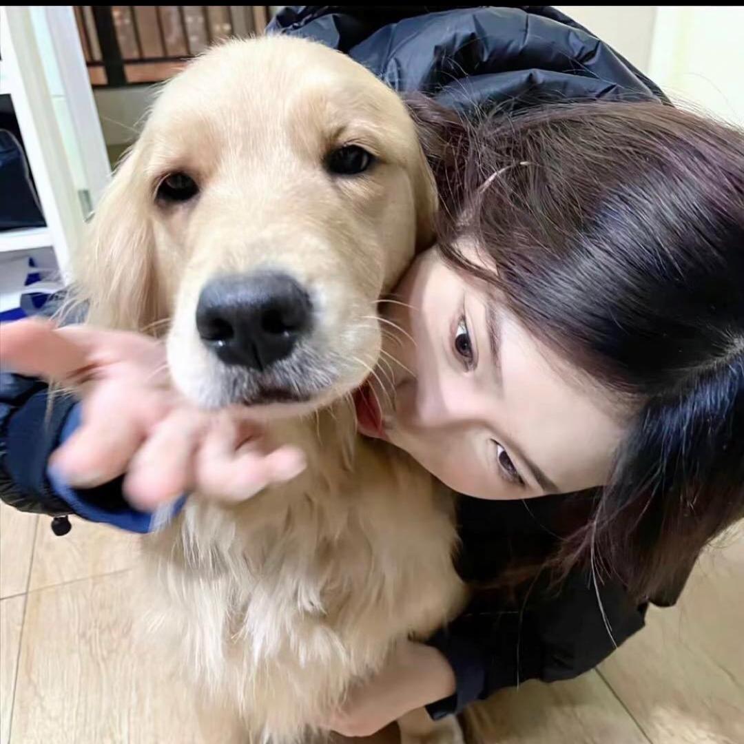 呆胶布