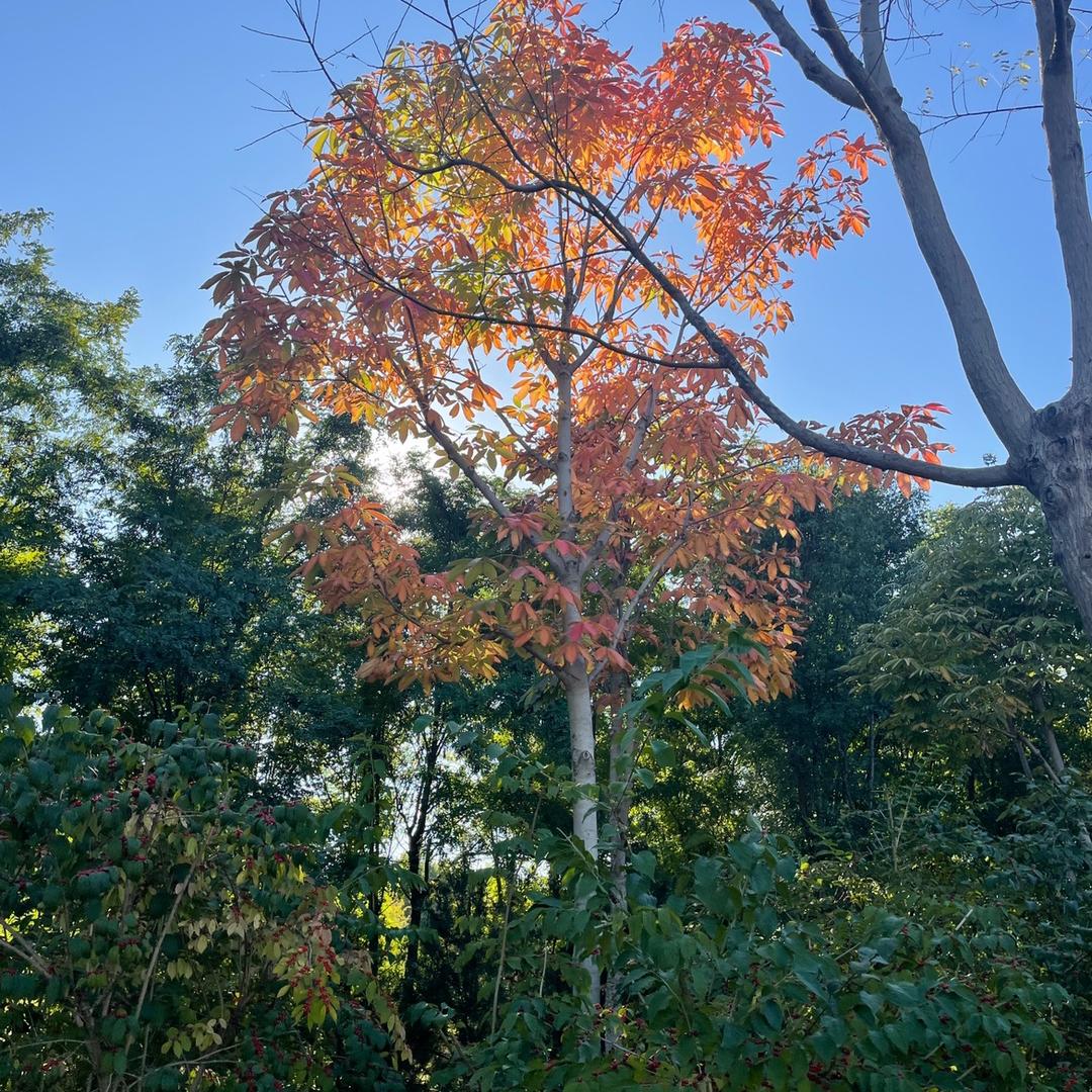 财税汇智商学院