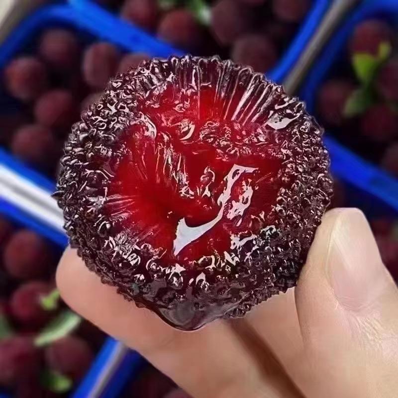 六便士服饰集合