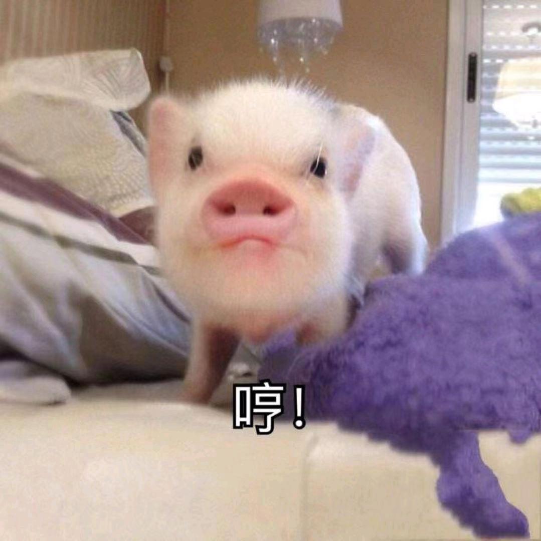 DNF浮夸（未来可期）