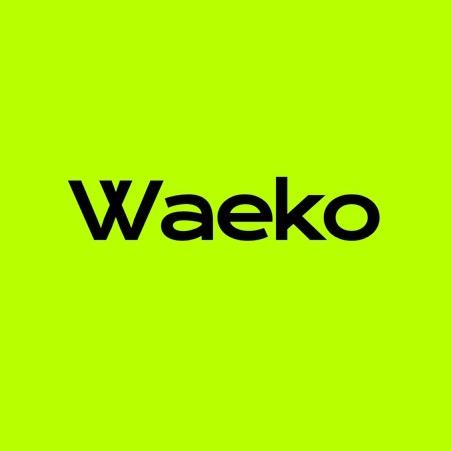Waeko同步带定制供应商