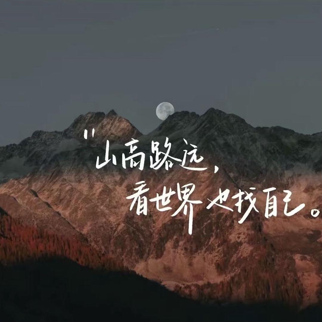 愿风入君怀