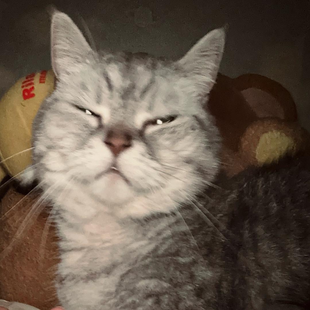 歪
