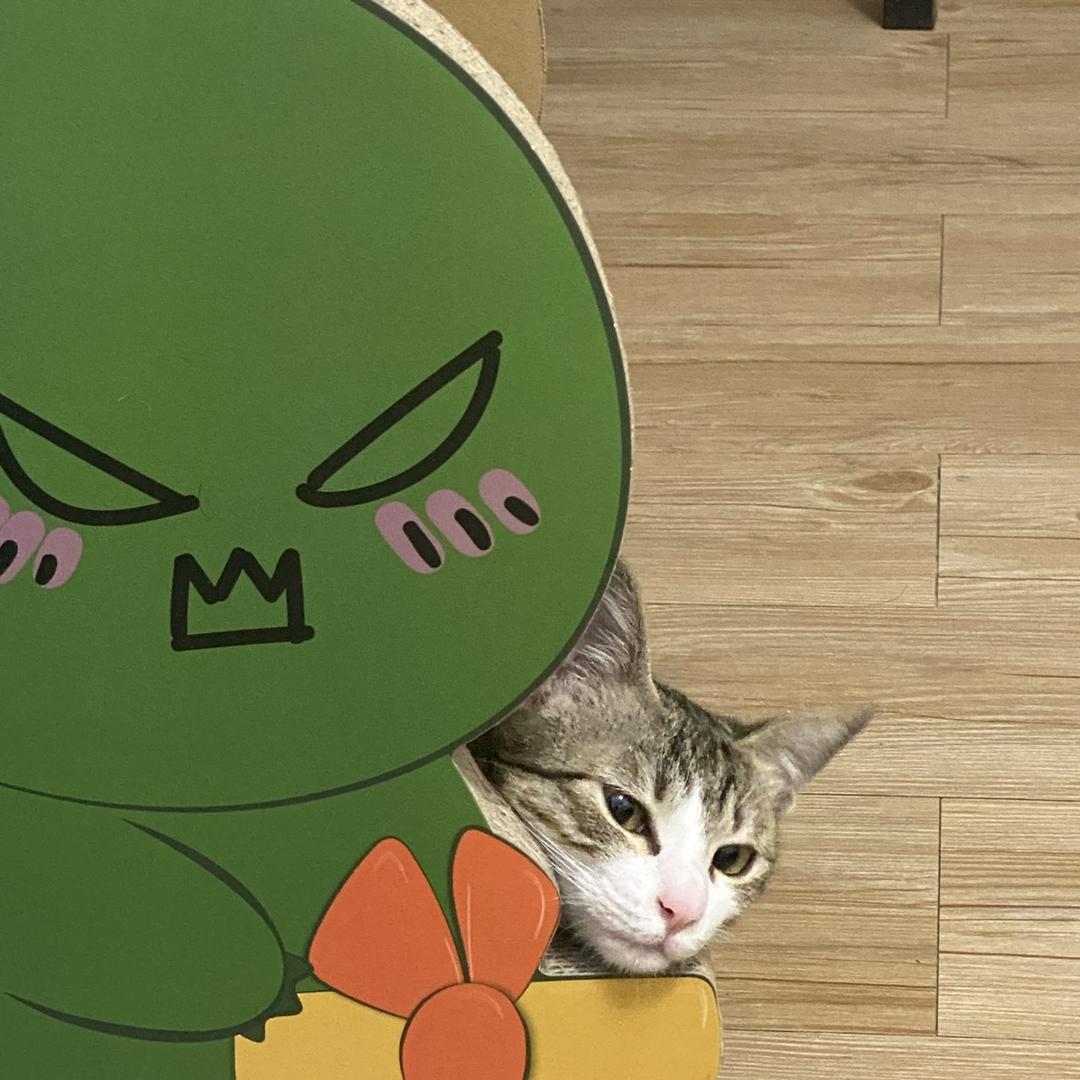 👒曾可爱