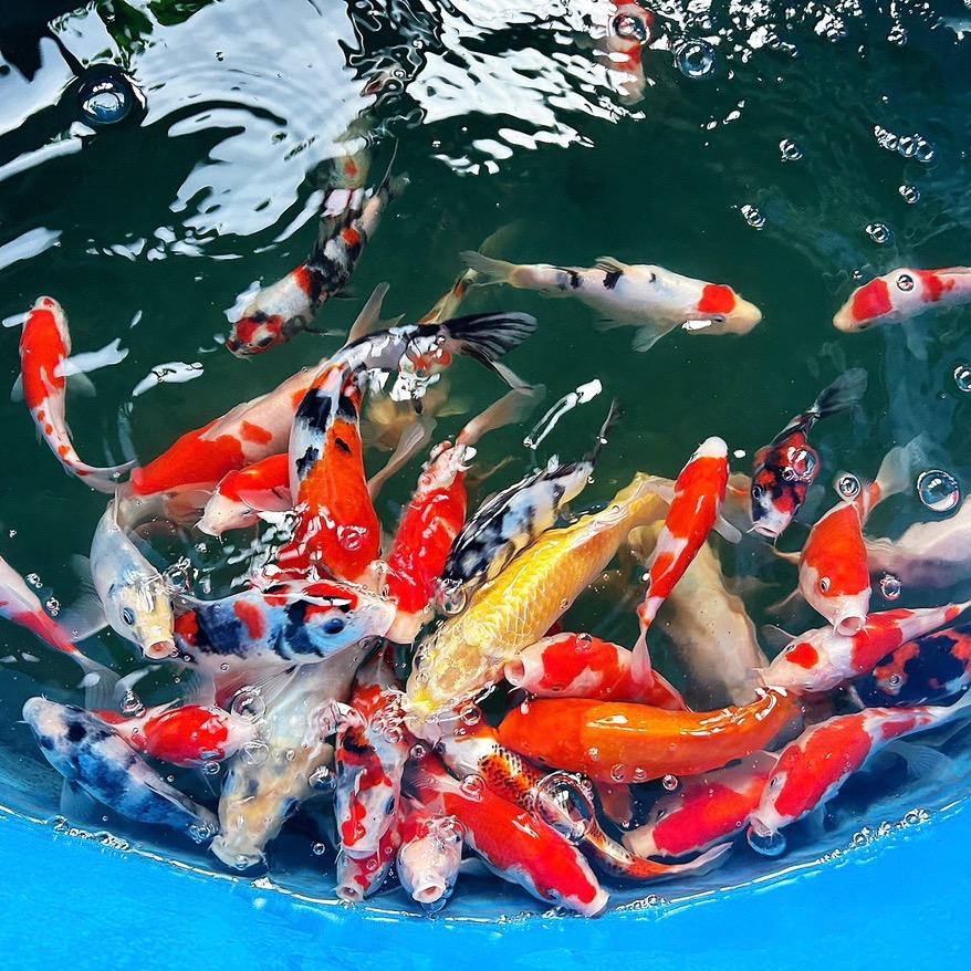 永瘦宫