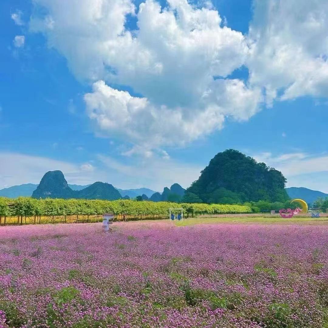 静心