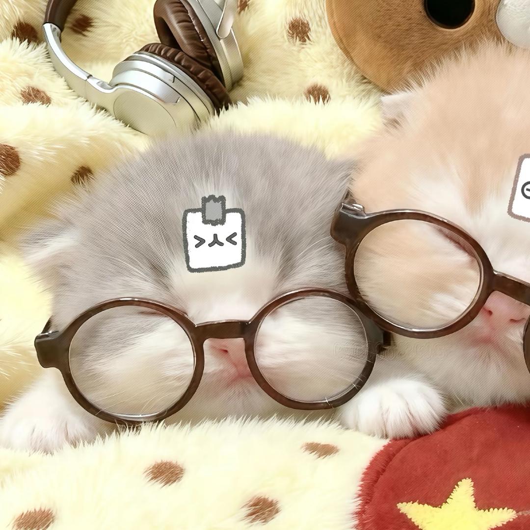 像我就是纯素颜硬帅