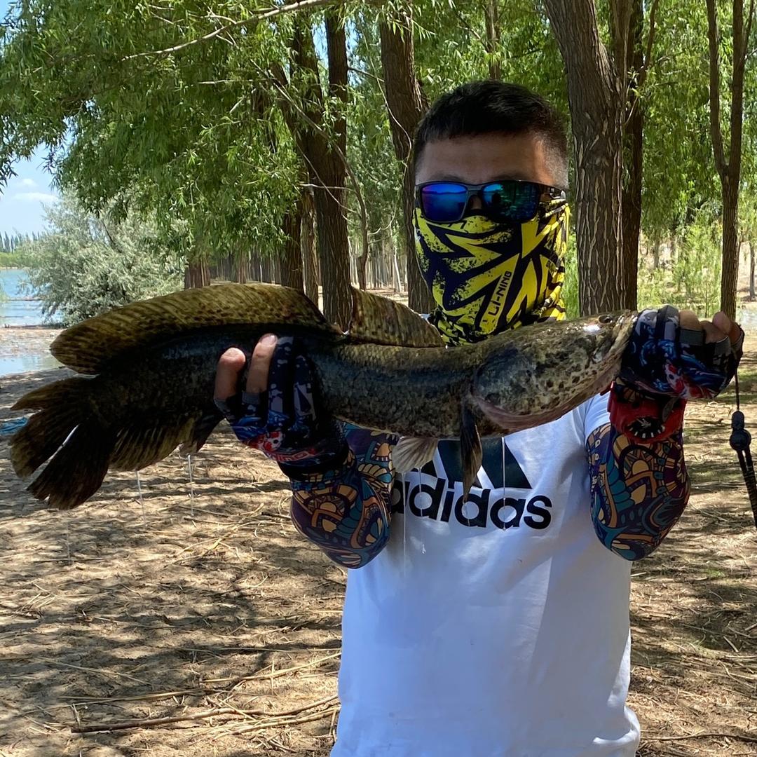 郑飞Lure🇨🇳