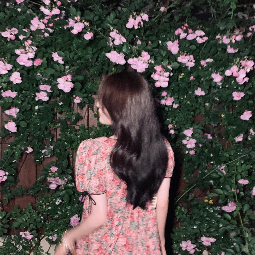 🍃叶子