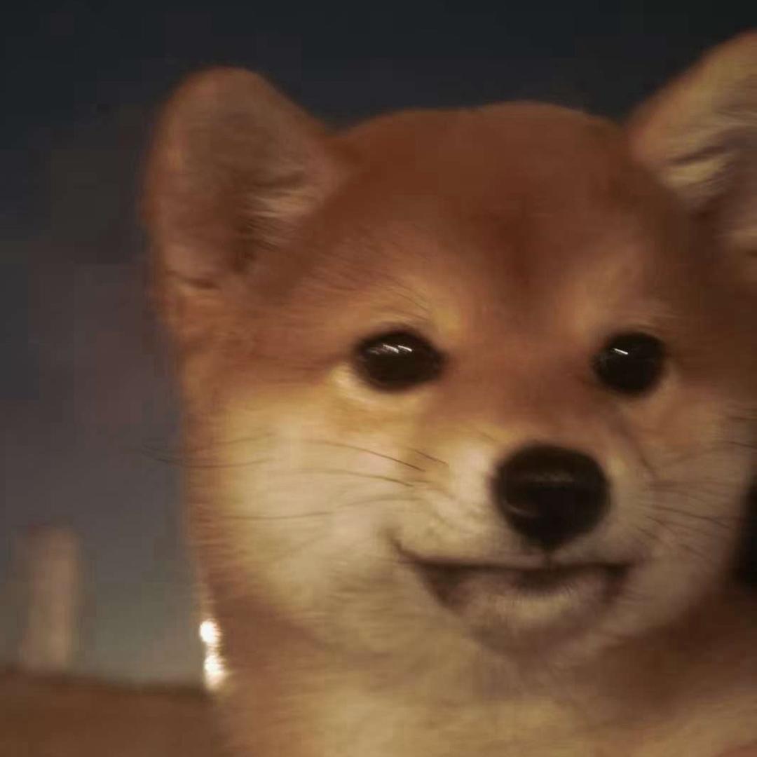 来个汉堡