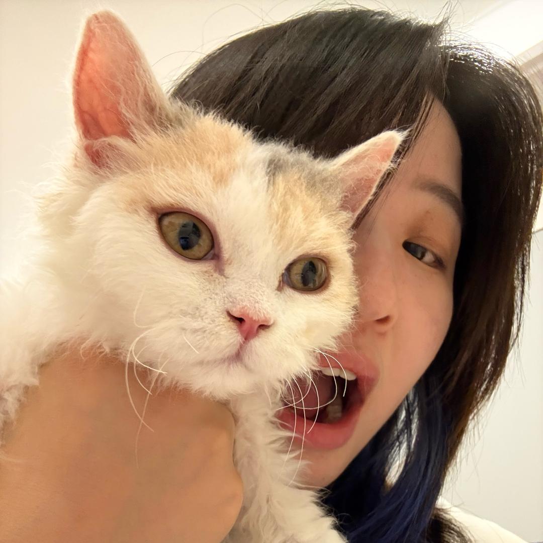 阿不思