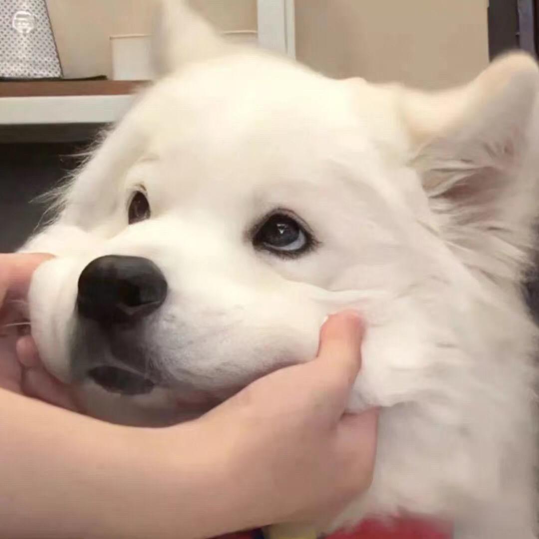 六六最六