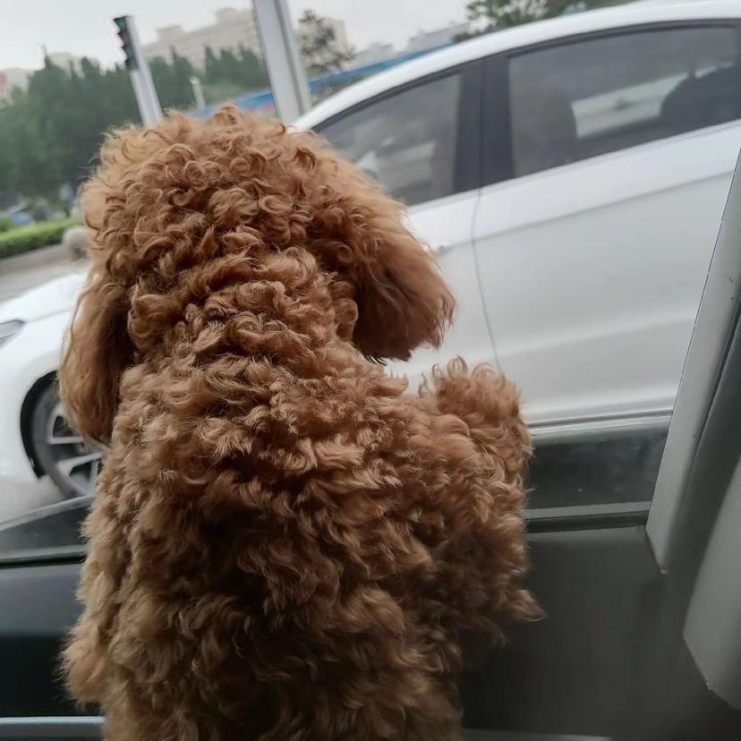 小昝吖🫣
