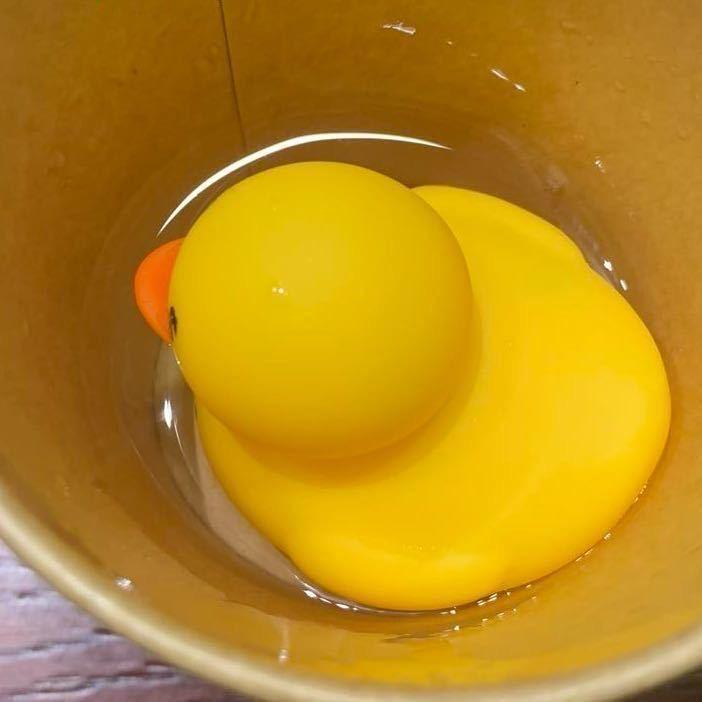 鲨鱼