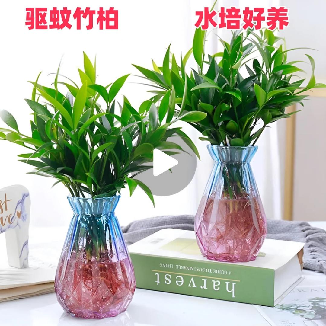 晨希严选好物百货企业店