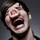 一只奔放的小驯鹿.