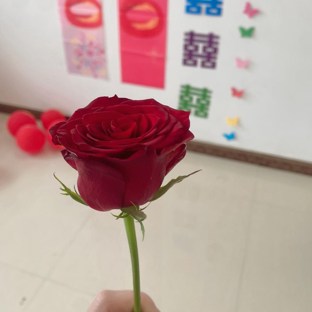 明天会更美好