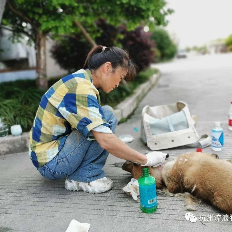 崔姐的小院儿