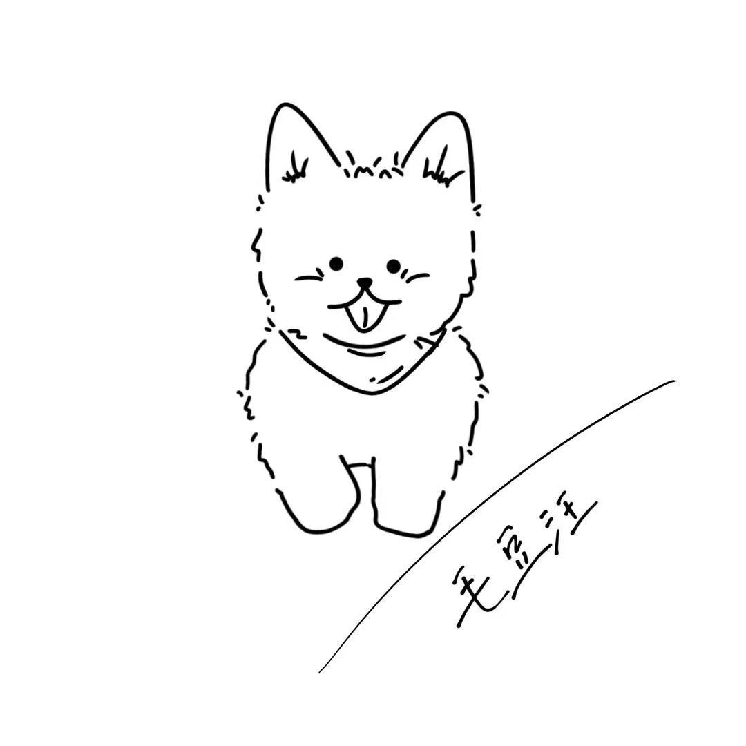 毛豆汪的多肉和花盆