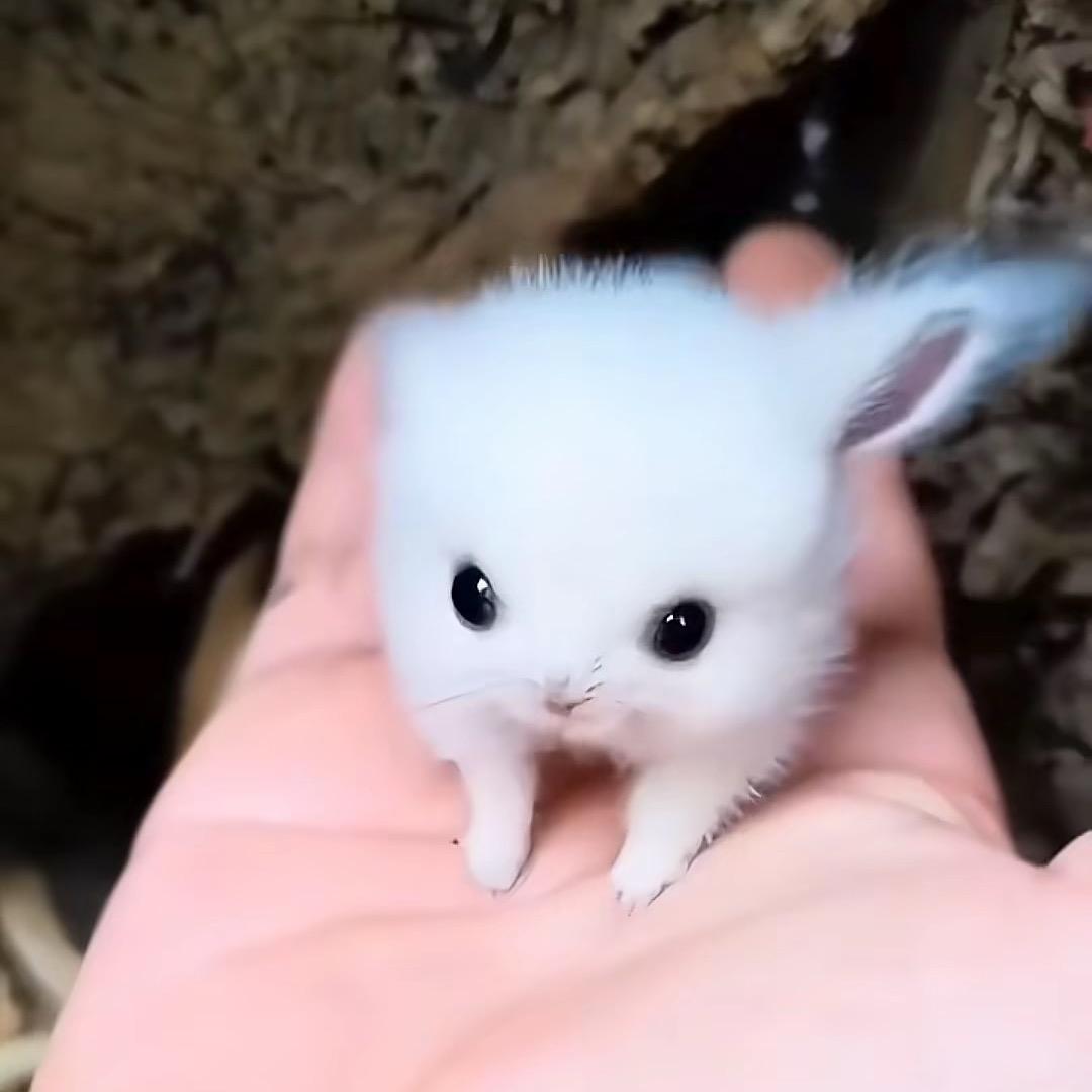 二哥，男士服装（高品会）