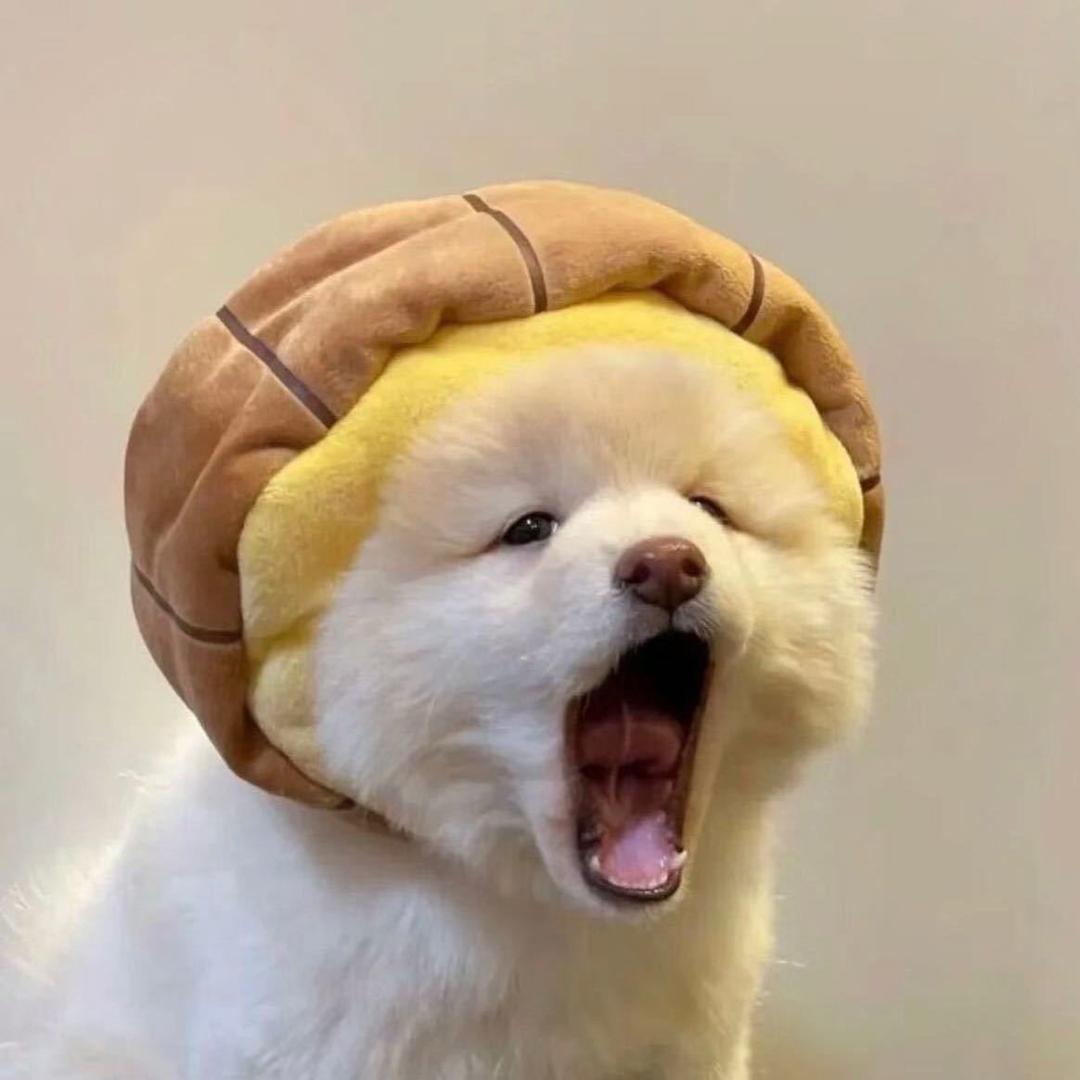 小猫妮.