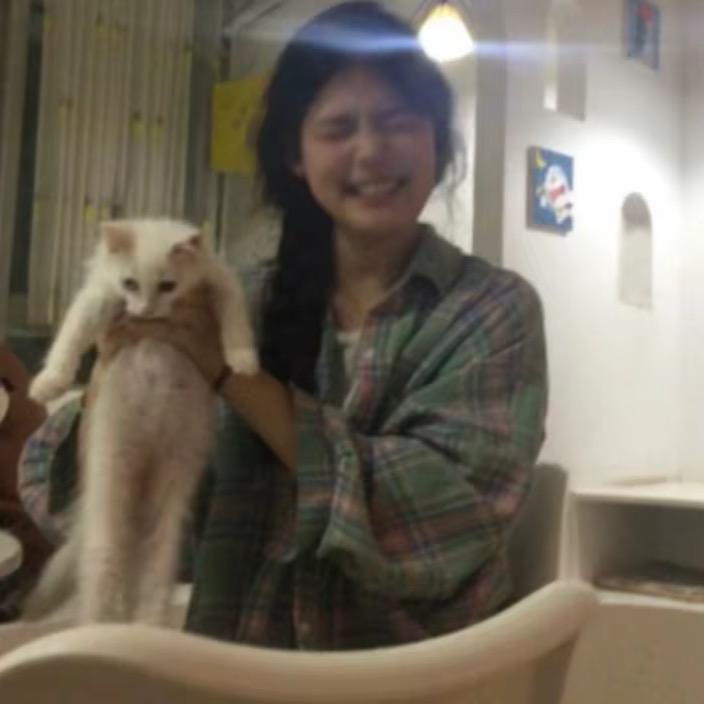 1只猫猫卷
