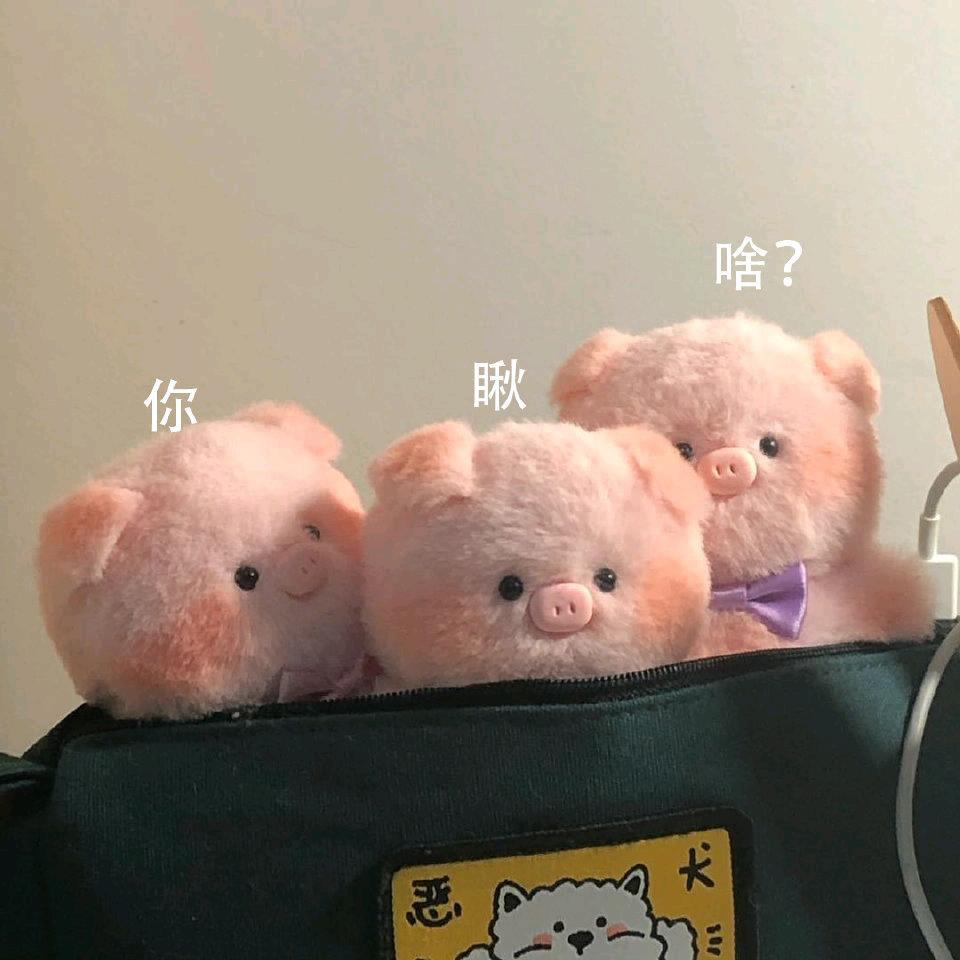 我不是窝窝