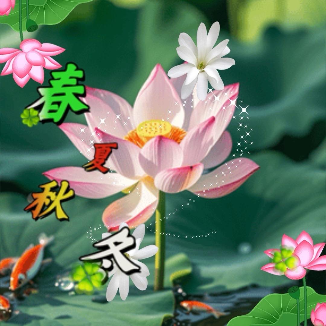 七零后