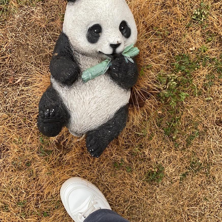 风与路人@