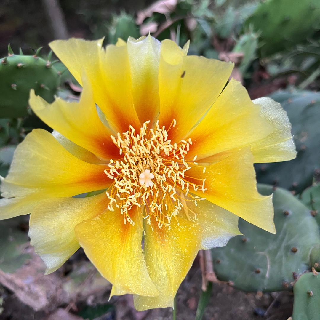 何去何从（拒绝私聊）