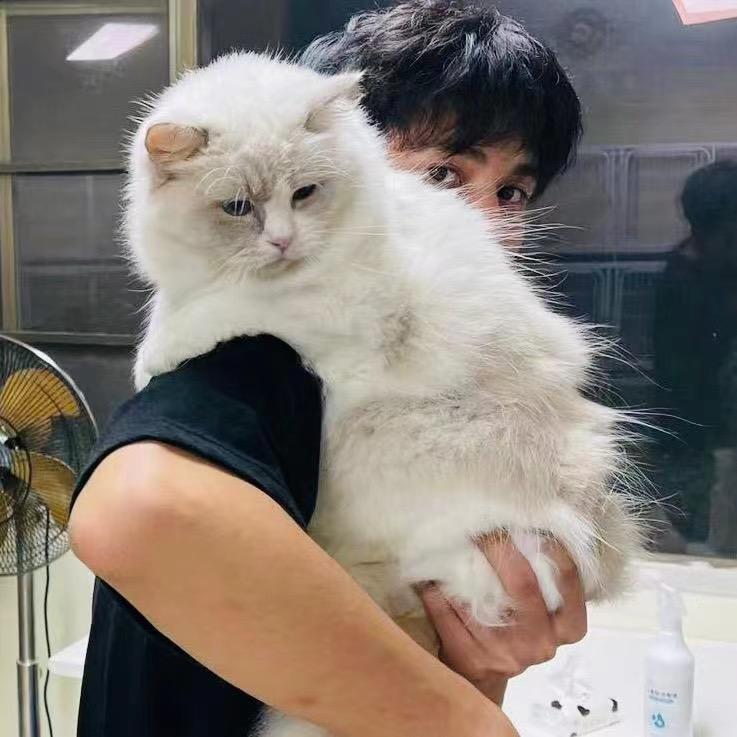 深圳猫舍