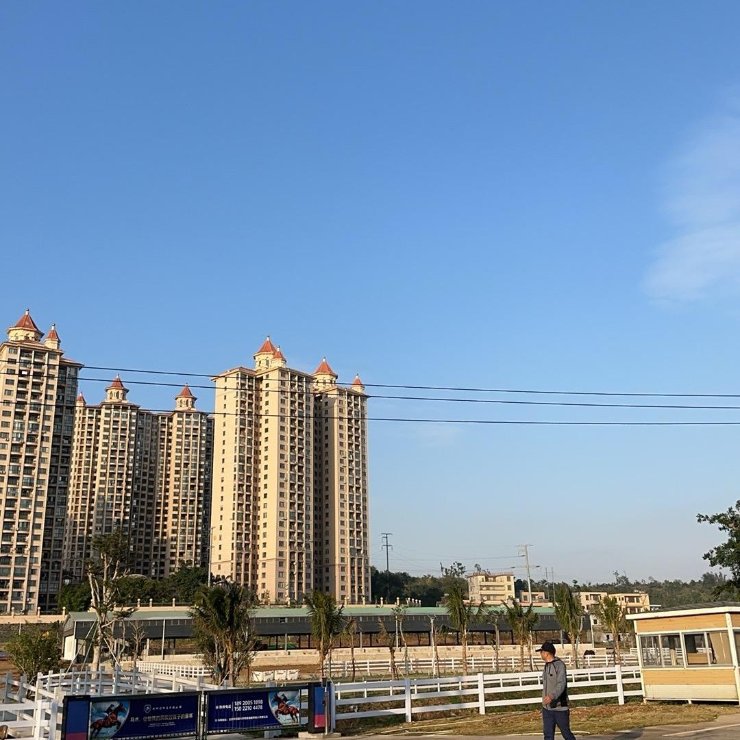 王大岗