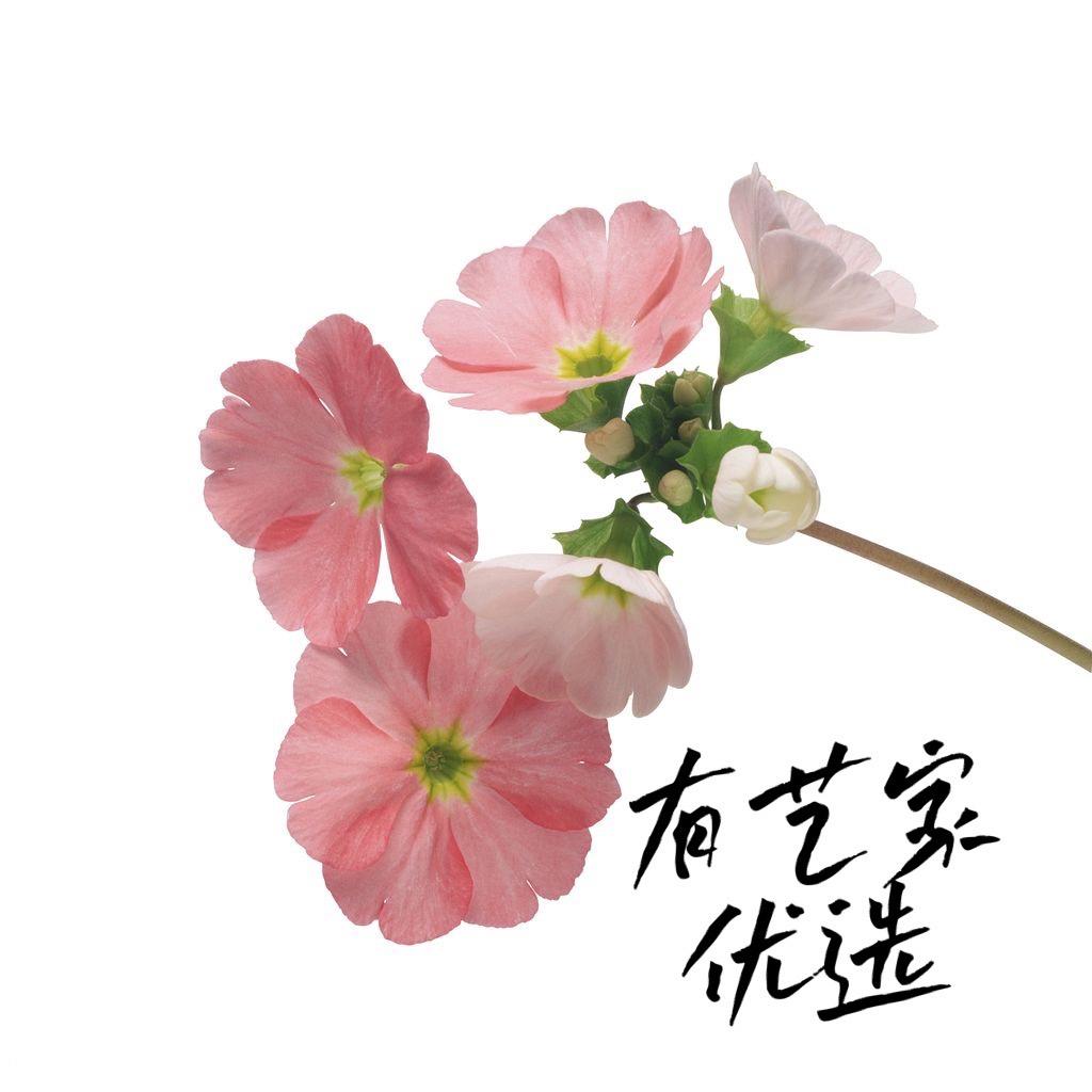 有艺家惠选