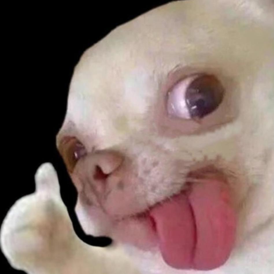 女明星